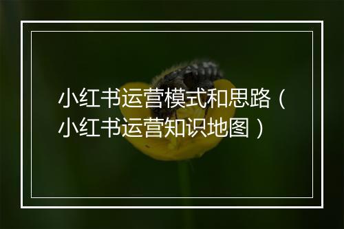 小红书运营模式和思路(小红书运营知识地图)