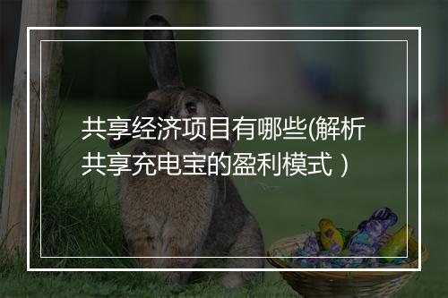共享经济项目有哪些(解析共享充电宝的盈利模式)