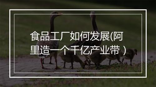 食品工厂如何发展(阿里造一个千亿产业带)