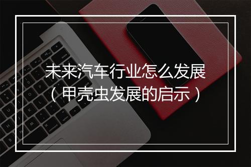 未来汽车行业怎么发展(甲壳虫发展的启示)