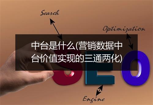 中台是什么(营销数据中台价值实现的三通两化)