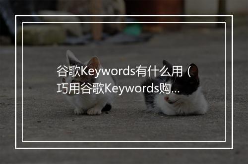 谷歌Keywords有什么用(巧用谷歌Keywords购物季销量翻倍)