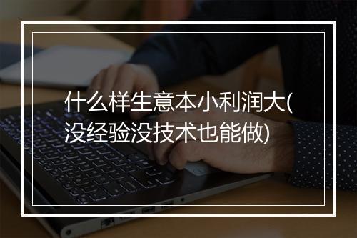 什么样生意本小利润大(没经验没技术也能做)