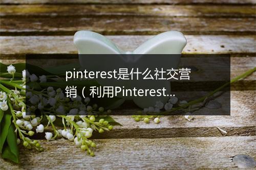 pinterest是什么社交营销(利用Pinterest进行营销促进业务)