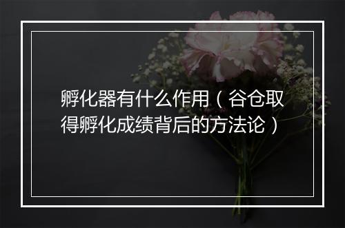 孵化器有什么作用(谷仓取得孵化成绩背后的方法论)