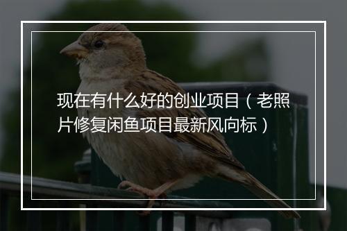 现在有什么好的创业项目(老照片修复闲鱼项目最新风向标)