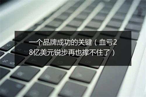 一个品牌成功的关键(血亏28亿美元锐步再也撑不住了)