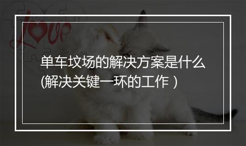 单车坟场的解决方案是什么(解决关键一环的工作)