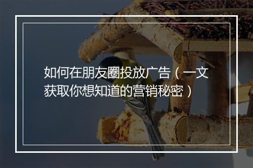 如何在朋友圈投放广告(一文获取你想知道的营销秘密)