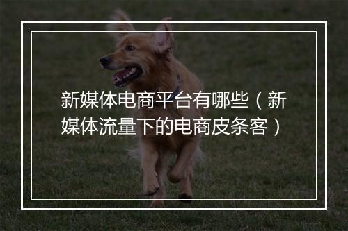 新媒体电商平台有哪些(新媒体流量下的电商皮条客)