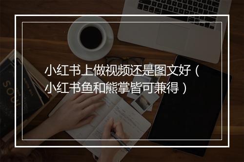 小红书上做视频还是图文好(小红书鱼和熊掌皆可兼得)