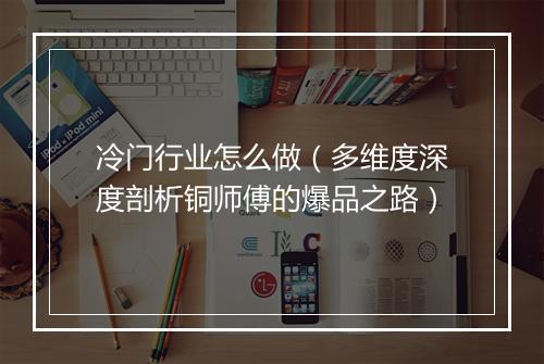 冷门行业怎么做(多维度深度剖析铜师傅的爆品之路)