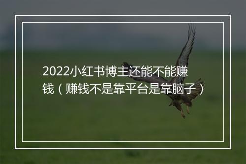 2022小红书博主还能不能赚钱(赚钱不是靠平台是靠脑子)