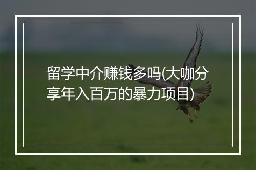 留学中介赚钱多吗(大咖分享年入百万的暴力项目)