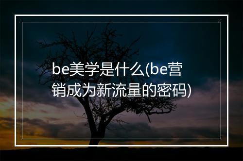 be美学是什么(be营销成为新流量的密码)