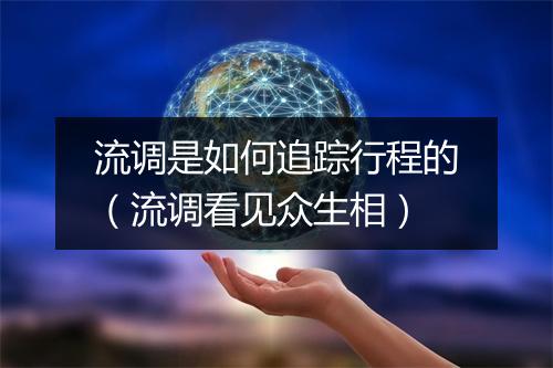 流调是如何追踪行程的(流调看见众生相)