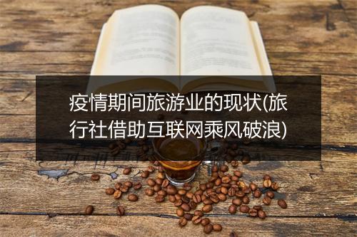 疫情期间旅游业的现状(旅行社借助互联网乘风破浪)