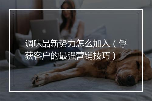 调味品新势力怎么加入(俘获客户的最强营销技巧)