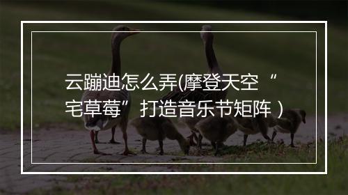 云蹦迪怎么弄(摩登天空“宅草莓”打造音乐节矩阵)