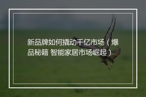 新品牌如何撬动千亿市场(爆品秘籍 智能家居市场崛起)