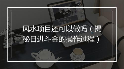 风水项目还可以做吗(揭秘日进斗金的操作过程)
