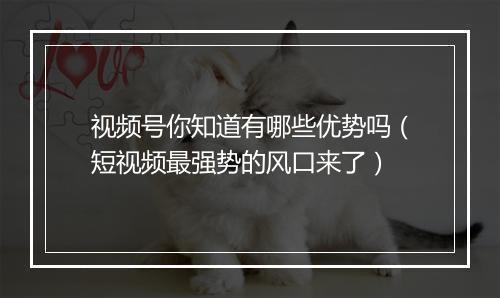 视频号你知道有哪些优势吗(短视频最强势的风口来了)