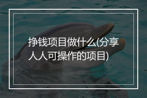 挣钱项目做什么(分享人人可操作的项目)