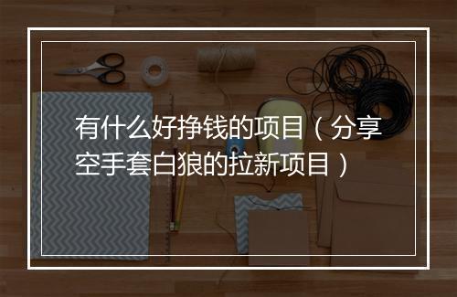 有什么好挣钱的项目(分享空手套白狼的拉新项目)