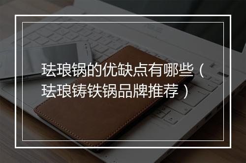 珐琅锅的优缺点有哪些(珐琅铸铁锅品牌推荐)