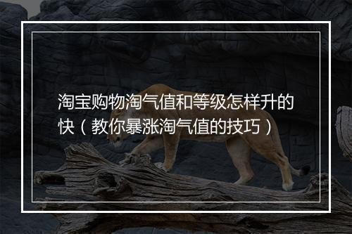 淘宝购物淘气值和等级怎样升的快(教你暴涨淘气值的技巧)