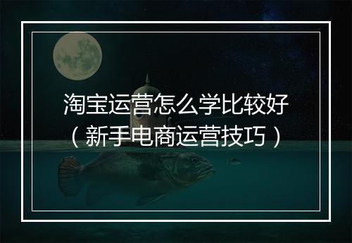 淘宝运营怎么学比较好(新手电商运营技巧)