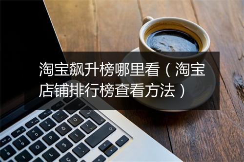 淘宝飙升榜哪里看(淘宝店铺排行榜查看方法)