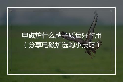 电磁炉什么牌子质量好耐用(分享电磁炉选购小技巧)