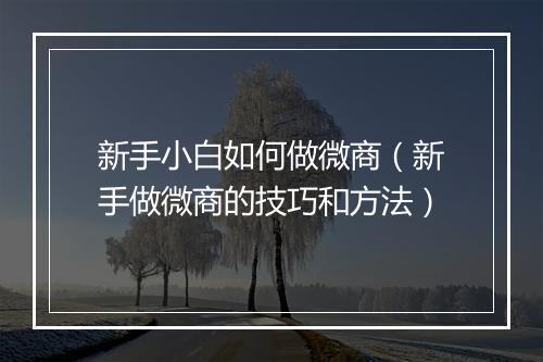 新手小白如何做微商(新手做微商的技巧和方法)