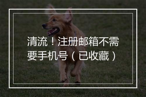 清流!注册邮箱不需要手机号(已收藏)