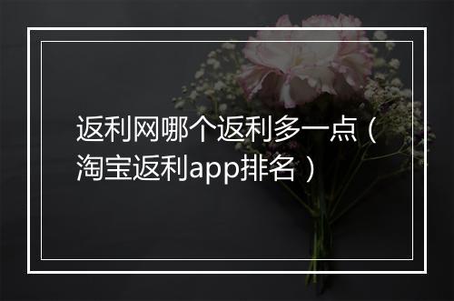 返利网哪个返利多一点(淘宝返利app排名)