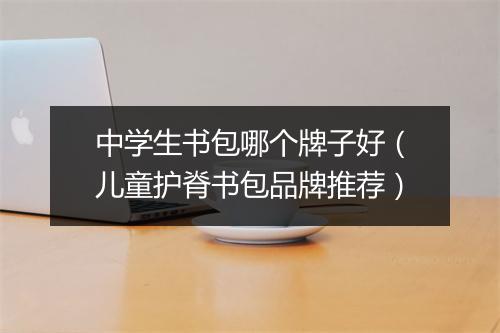 中学生书包哪个牌子好(儿童护脊书包品牌推荐)