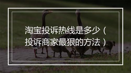 淘宝投诉热线是多少(投诉商家最狠的方法)