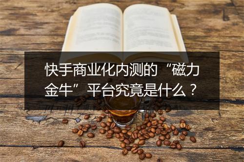 快手商业化内测的“磁力金牛”平台究竟是什么?