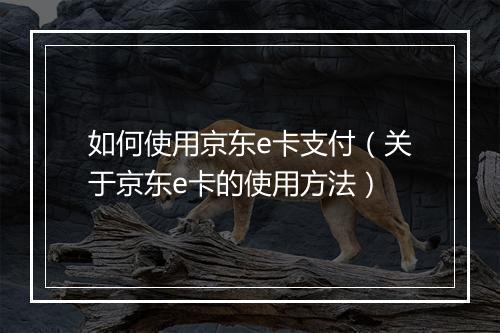 如何使用京东e卡支付(关于京东e卡的使用方法)