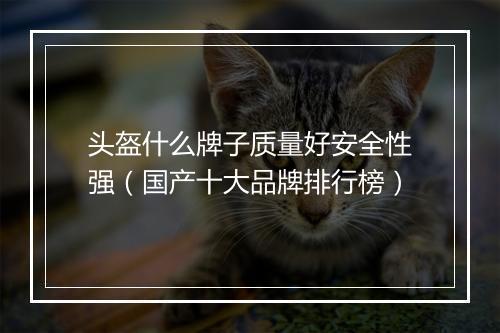 头盔什么牌子质量好安全性强(国产十大品牌排行榜)