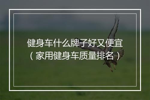 健身车什么牌子好又便宜(家用健身车质量排名)