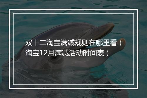 双十二淘宝满减规则在哪里看(淘宝12月满减活动时间表)