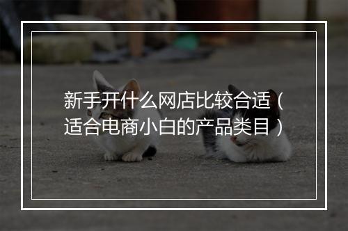 新手开什么网店比较合适(适合电商小白的产品类目)
