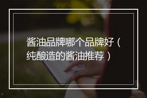 酱油品牌哪个品牌好(纯酿造的酱油推荐)