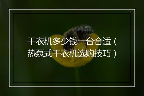 干衣机多少钱一台合适(热泵式干衣机选购技巧)