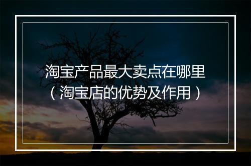 淘宝产品最大卖点在哪里(淘宝店的优势及作用)