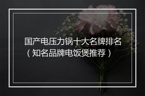国产电压力锅十大名牌排名(知名品牌电饭煲推荐)