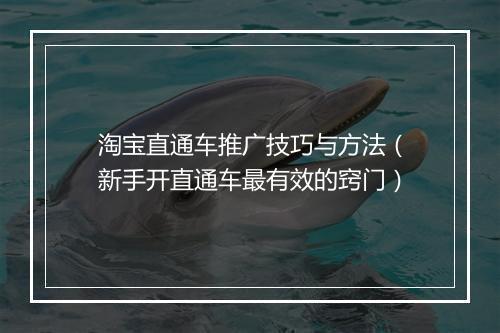 淘宝直通车推广技巧与方法(新手开直通车最有效的窍门)