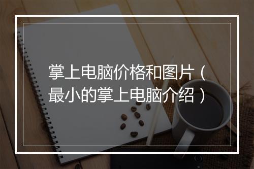掌上电脑价格和图片(最小的掌上电脑介绍)
